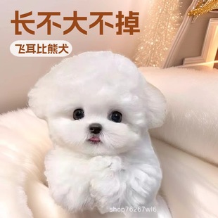 ���N����Ȯ���B������Ȯ����ɫ���ܹ������̻��wС�Ͳ豭Ȯ���pȮ