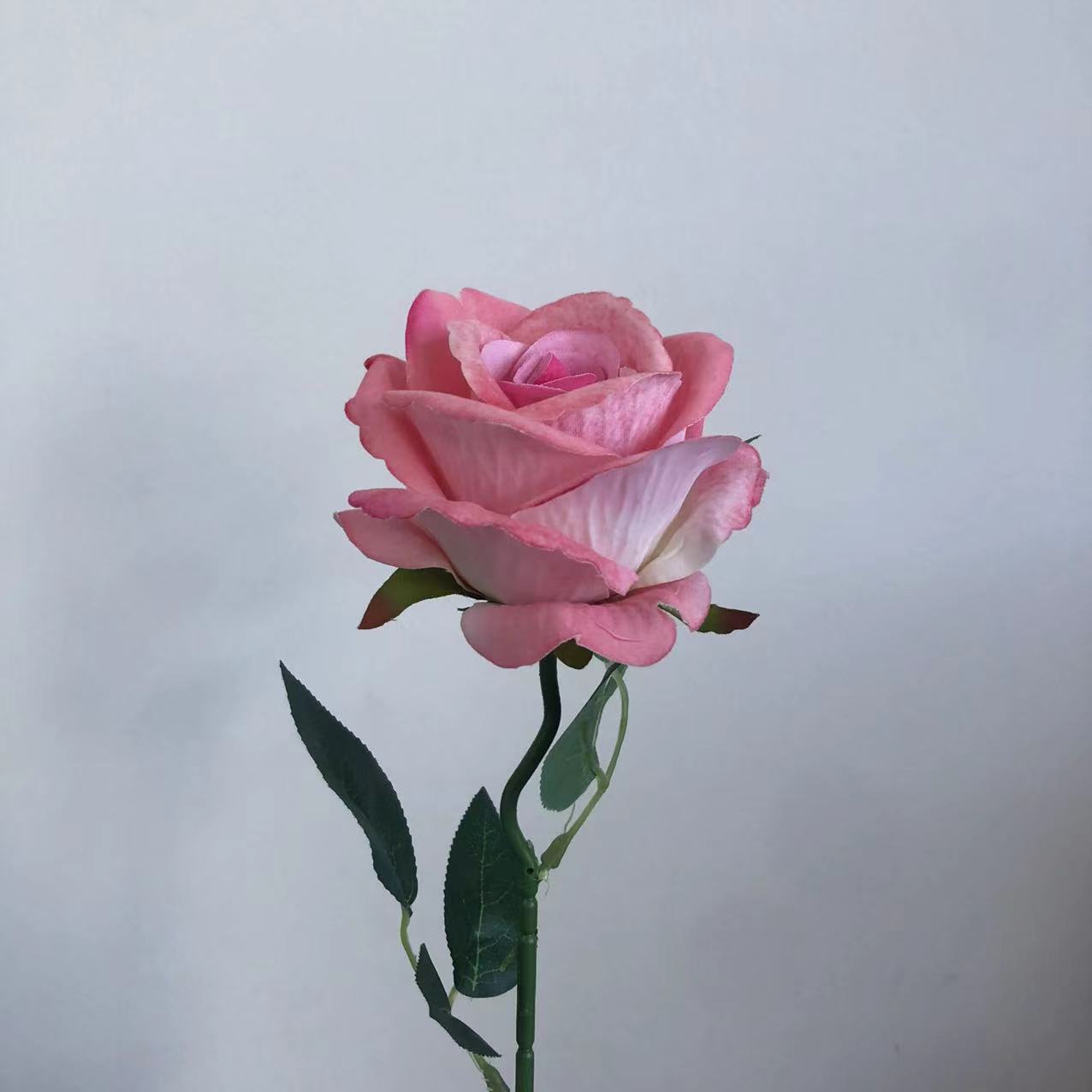 피치 핑크