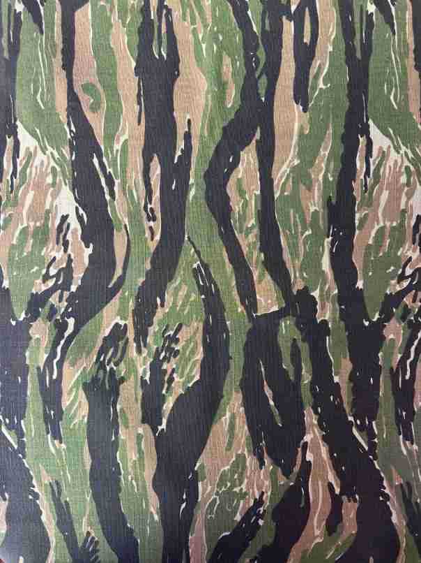 Jungle tabby camouflage