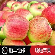 【顺丰包邮】正宗嘎啦苹果脆甜当季新鲜水果小苹果5/9斤现摘现发