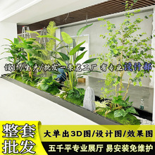 ����Gֲ�쾰�L�ș��������b��ßᎧ��ֲ���҃Ⱦ��^���˽��쾰