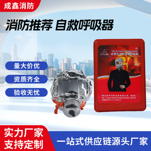 Mask Tzl30 Fire-Fighting 3C Certified Fire Escape Filter-Type Self-Rescue Respirator Is a Must-Have for Emergencies