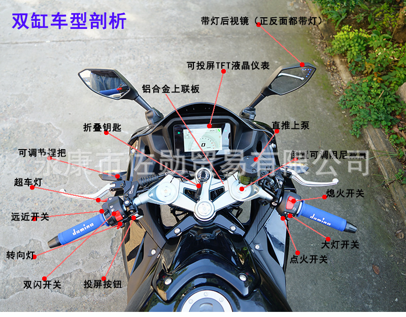 DaoLang dual-cylinder water-cooled heavy-duty street bike, high-displacement road racing motorcycle, can be registered, with Euro 4 standard and electronic fuel injection