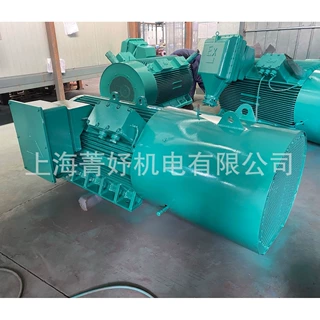 长期供应高压紧凑型电机 Y2 YE3 电机,Y2-315-4-185KW-3.3kV