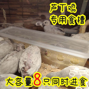 �J���u����ʳ������λ��������B�O��������R������8��ιʳ��