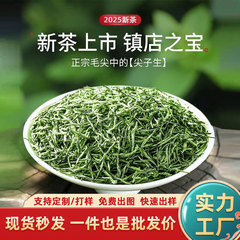 緑茶信陽毛先2025新茶春茶自産自売バラ炒め青自分が飲んだ茶葉山林茶