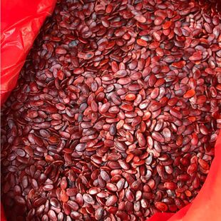 �����M�����S�t����ԭζ����ˮ���}ζ���ӼtƤ����ӻ�cϲ���д�