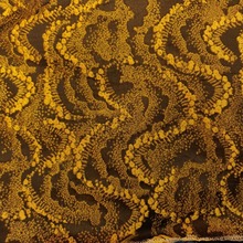 SҼɫỨc˰͹ŮbȹbbϴỨ