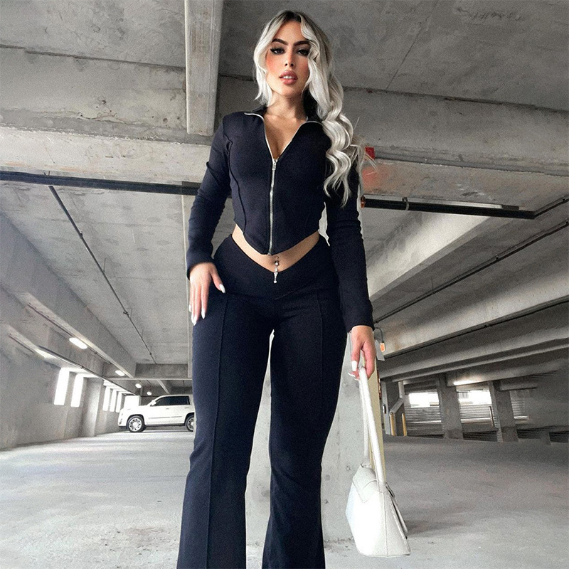 Daily Women's Casual Streetwear Solid Color Spandex Polyester Pants Sets Pants Sets display picture 17