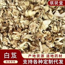 ����ܸ�����ܸ����ܸƬ��ܸ�����l