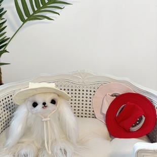 PS-027 Pet Tide Hat Decorative Supplies Sun Hat Schenarifa Dou Necessary Photo Props Dog Beret