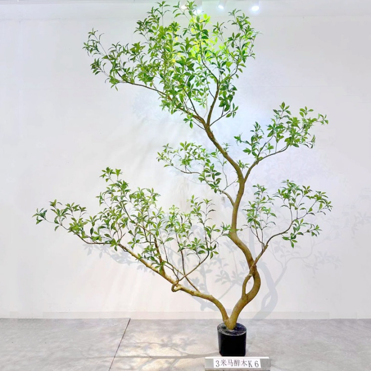 爆款仿真栀子树 和红继木 与多瓣树马醉木 网红植物ins风 民宿家|undefined