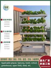 NFT无土栽培蔬菜草莓种植双面垂直架水培设备阳台水耕多层种菜机