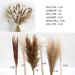 Ramo de caña de flores secas de Amazon, batidor de hierba de cola de conejo, ramo de flores secas de Yunnan, decoración de muebles al por mayor