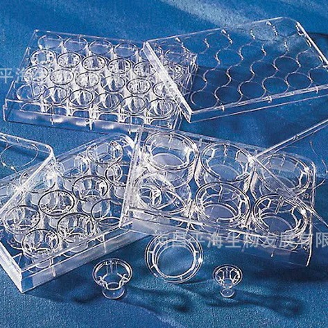 2023-12-26 10:01:15.jpg