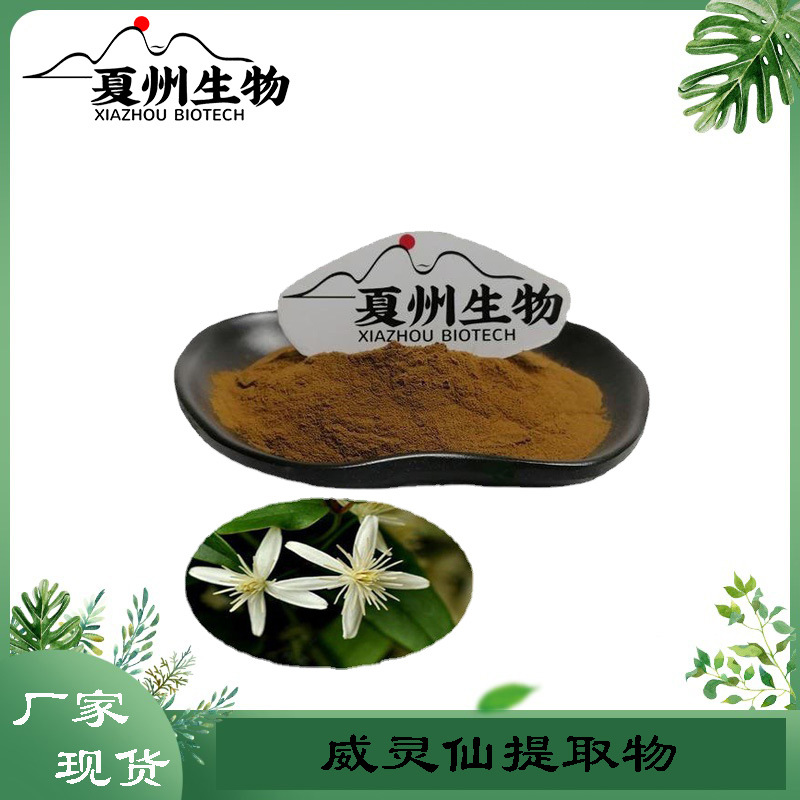威灵仙提取物10/20/30/50:1 Clematis Root Extract 夏州生物kg装