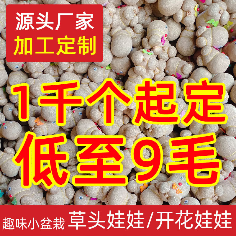 草头娃娃批发长草娃娃开花娃娃儿童种植小盆栽小绿植水培植物猫草