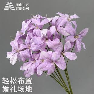 �����m���滨3d�������廨�b�·����ɫ��c���G�����G������ٻ�