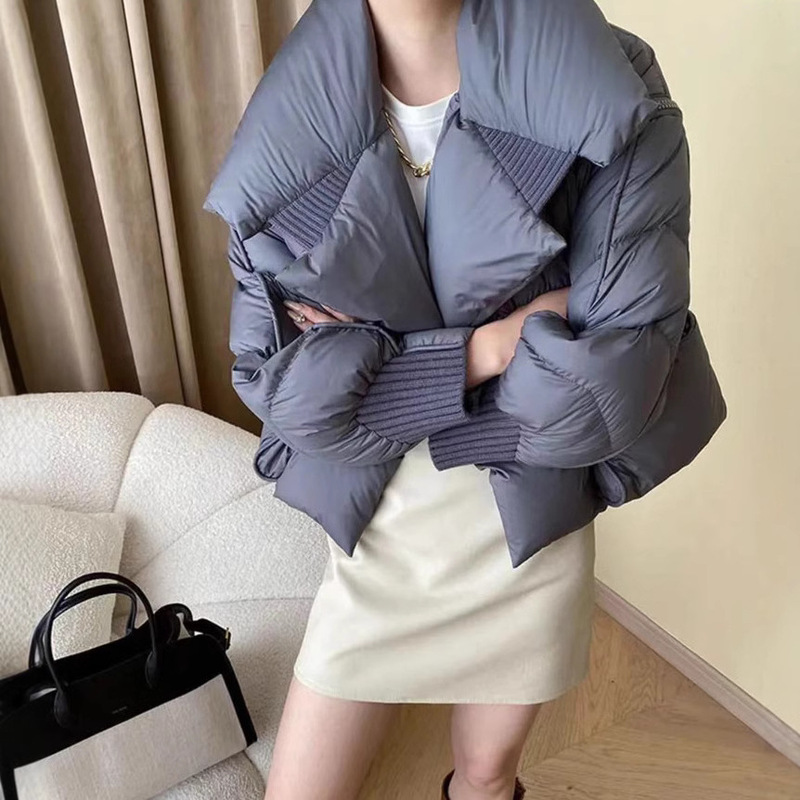 Women's down Jacket New Winter Korean Style Duck down Stand Collar Flat down Coat
