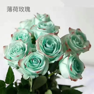 ����{õ�廨���ԝ������ϸ��҃�������ļ��_�Nޱ�¼� ����õ��2