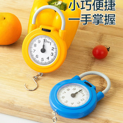 Spring scale mini weighing portable electronic scale portable 10kg high-precision household hook express grocery shopping scale small scale