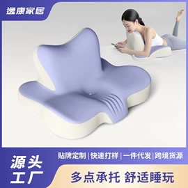 记忆枕;坐垫椅垫;午睡枕