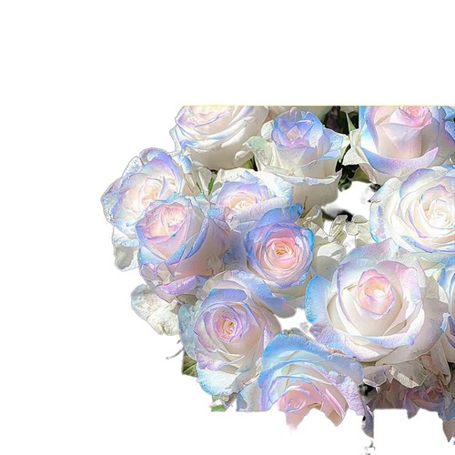 鲜花喷色剂花艺鲜花喷漆染色剂花店专用碎冰蓝玫瑰喷剂着色手摇喷