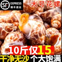 �����r��������Ó�֭���_���r�|�L��؈�������r�����������r�U�~