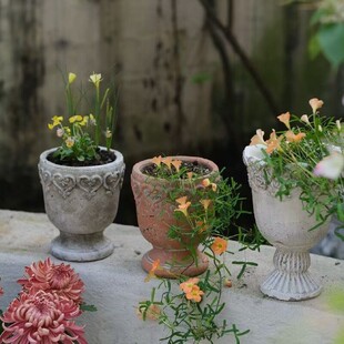 �ֹ��ּt����������ϵ���ĸ��_����ins�͹��̨���@�����ݻ�����