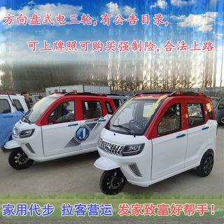 可上牌家用代步三轮车全封闭带蓬方向盘式载客载人成人电动电瓶车