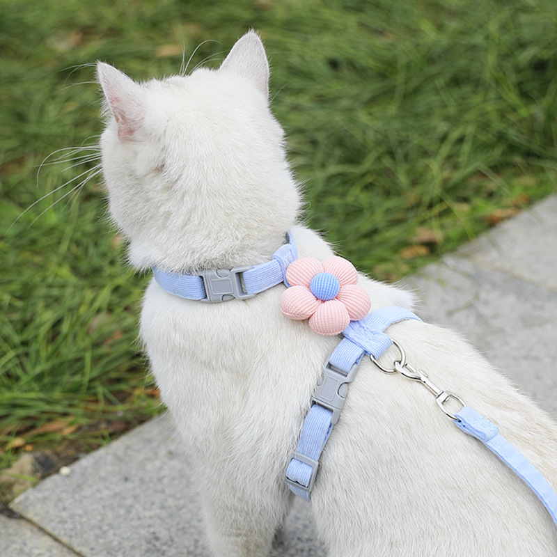 猫のアニメの牽引縄は外に出ても抜けないようにします。|undefined