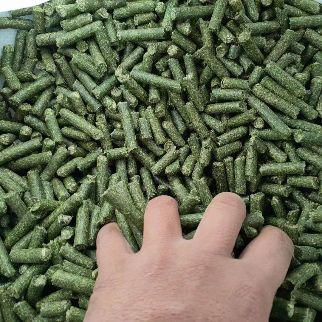 d37bcda2f5ed84c185a0ea5e56e716