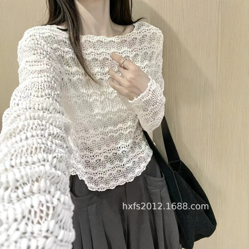 Early Autumn 2026 New Collection: High-end Hollow Lace Versatile Round Neck Long-Sleeve Women's Fashion Top with a Stylish Design