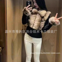 �Ӻ�ë���׶����¿�h��ë�q���I�������Ƥ�����¶�ᘿ�������Ů