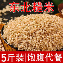 东北五常糙米新米糙米饭健身玄米粗粮红糙米五谷杂粮饱腹脂减饭