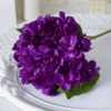 Deep purple