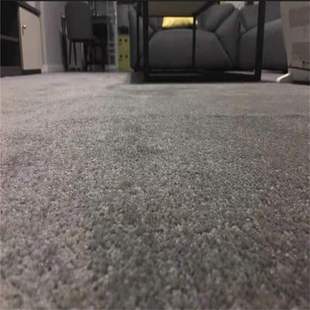 Thickened Elbow Yarn Full Carpet Hotel Beauty Salon Home Bedroom Gymnasium Sunroom Plain Color Arbitrary Cutting