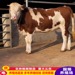 ���T����ţ��ţ�� �����Sţţ�� ���T��������ţ�Bֳ��