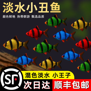 ��ˮС���~��Ƥ�~�Ꭷ�^�p�~���wС����ʹ�ɹ⻢Ƥ��ˮ���֌����~