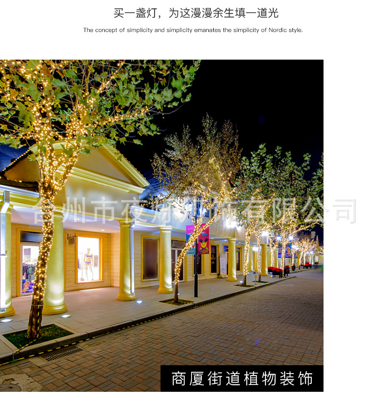 太阳能铜线灯_12.jpg?x-oss-process=image/format,png