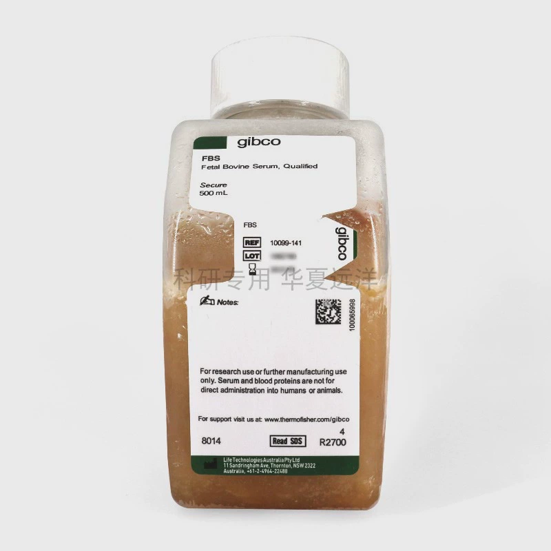 C0237 Фетинная Сыворотка Gibco 10099-141 Оригинальное Происхождение Австралия 500ml