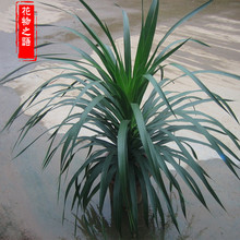 횘^Կ͏dk҃ȴ;Gֲ^~ֲļGֲ