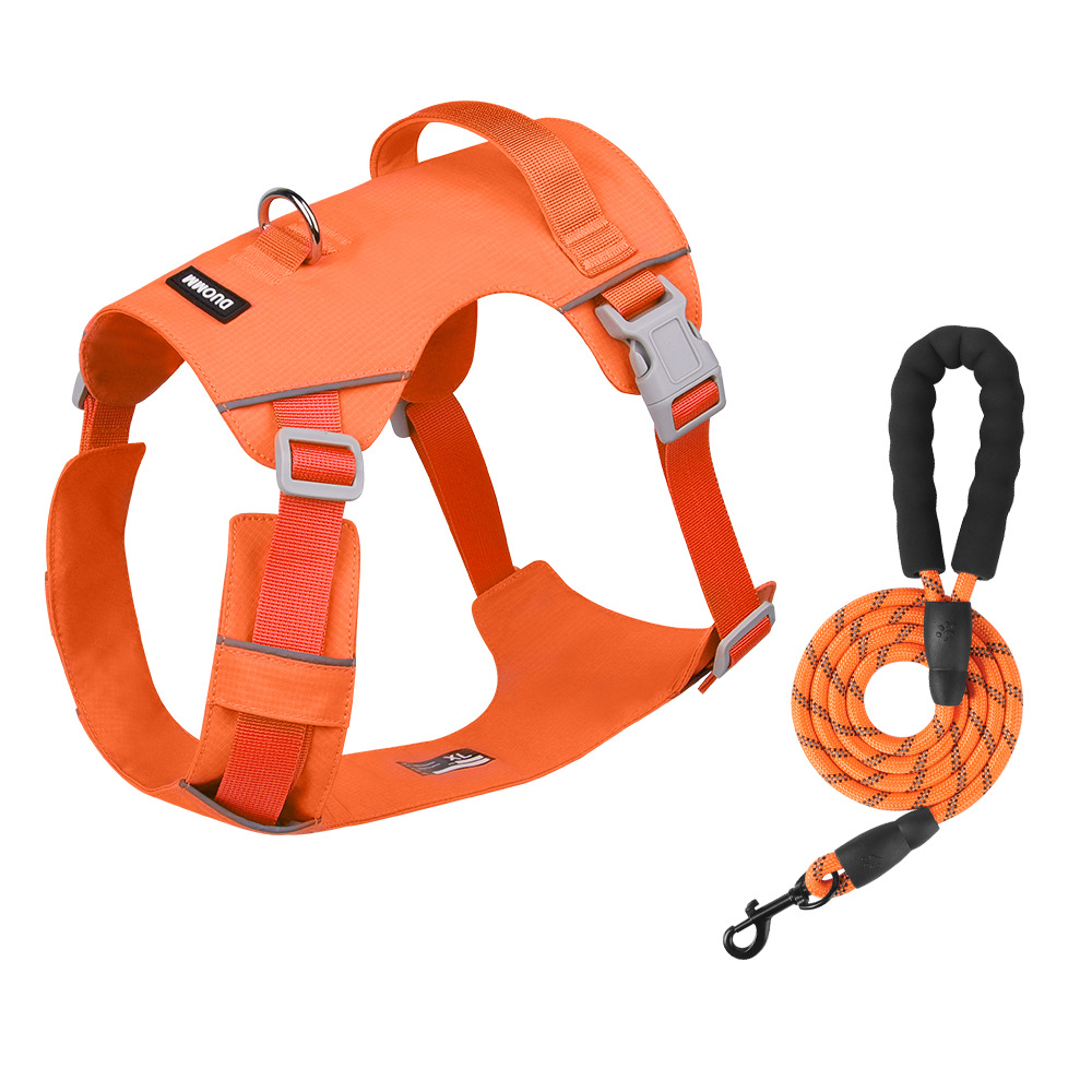 Juego de dos piezas Orange Vitality
