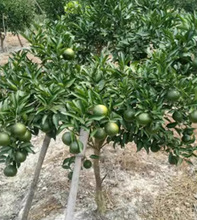 ���Ә����o������ɰ���ٽ�۸̽������Ϸ������ļ��Nֲ����Y��