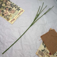 5�^Ұ�ջ�֦49cm���컨����ٻ����Ͻ�����������õ�岨˹��Ұ��