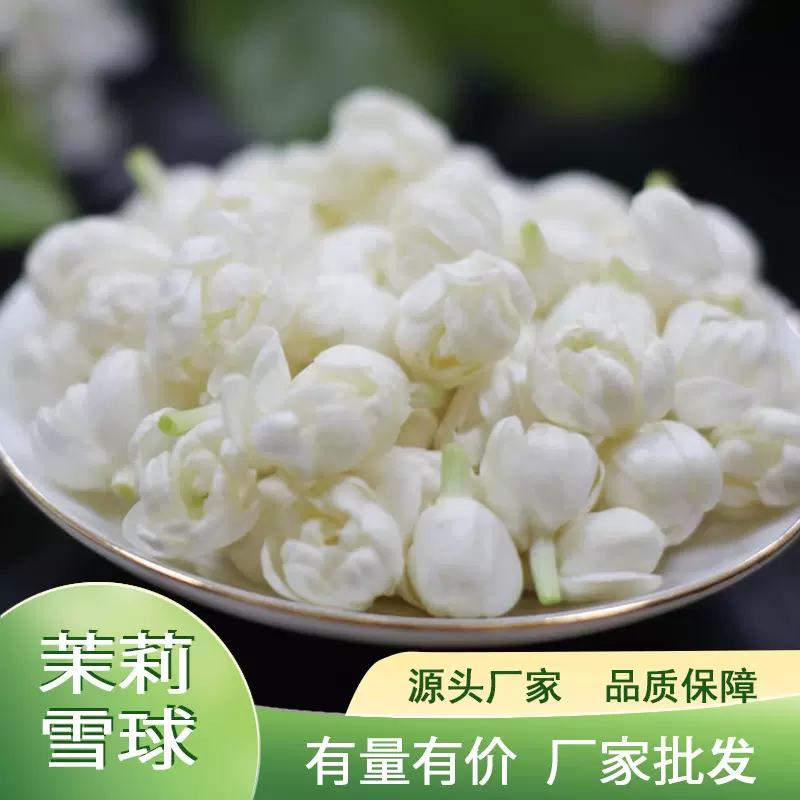 厂家批发茉莉花干茉莉雪球无梗干花横县散装花蕾花茶