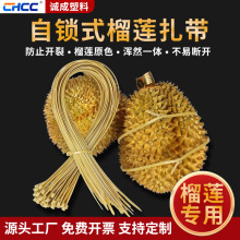 ��̖��ɏ��������5*650���iʽ���ϼ��L�����������S�ҬF؛���l