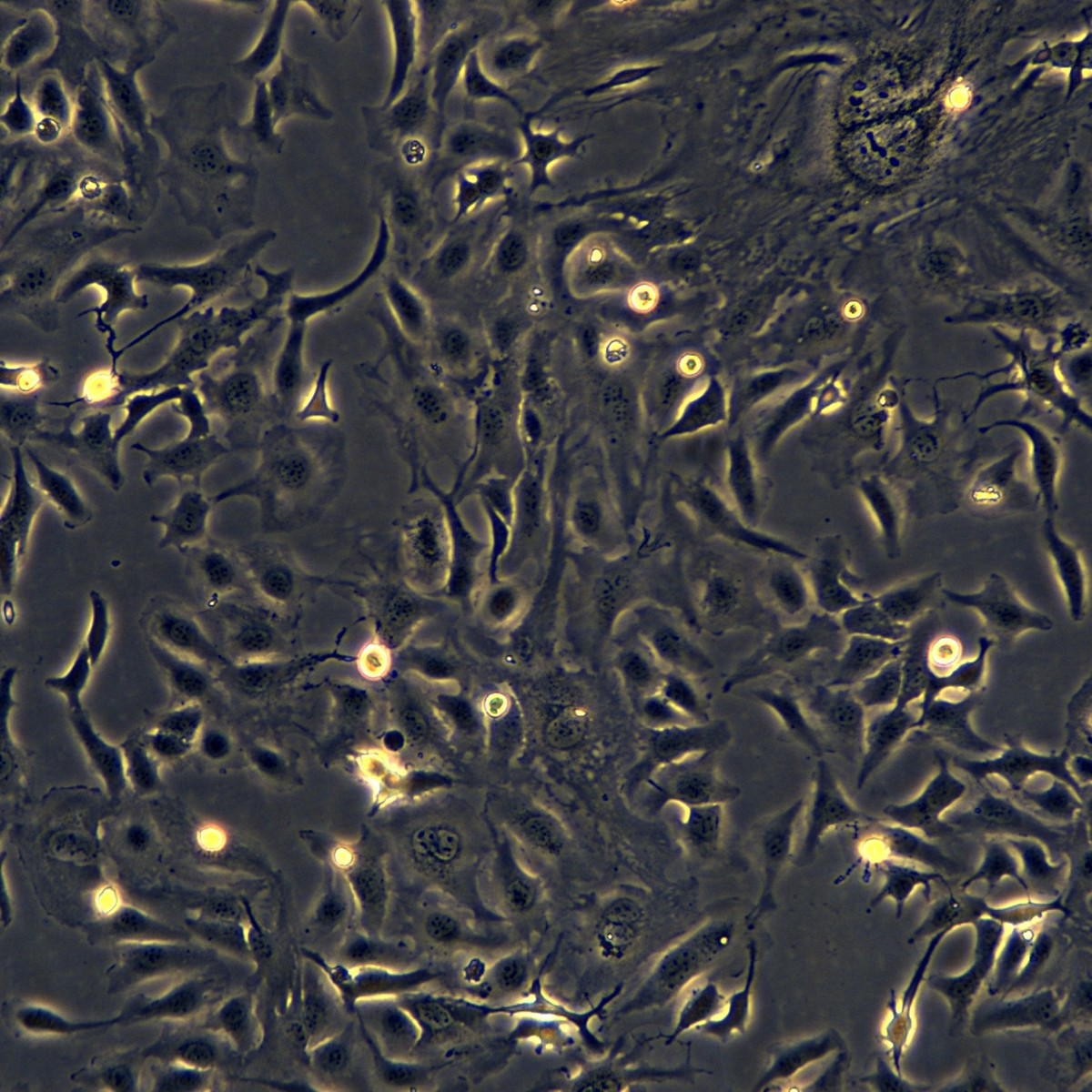 2025-11-04 16:05:20.jpg