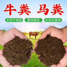 牛粪马粪发酵腐熟农家羊粪肥养花种菜配土改善土质盆栽通用有机肥