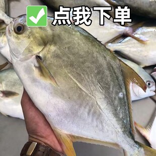 �������K�~���r����r���ك��ش������r�׺��~���rˮ�a1�E�~